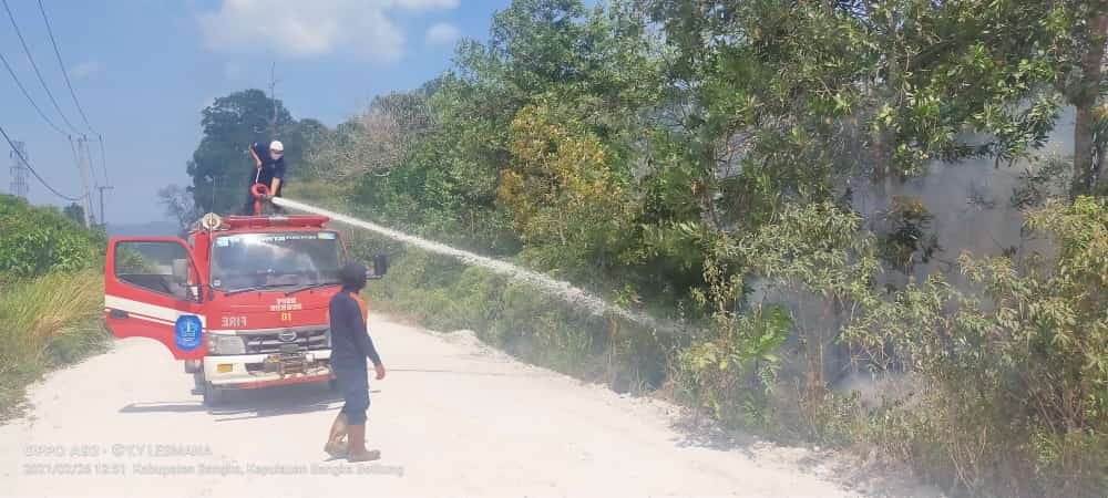 12f4a537 4215 4be2 A393 2e7dffa9a31e