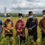 C5fb5525 3103 4bc4 A2a2 D4853b4965c4 150x150