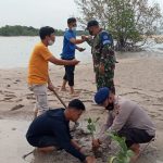 3894dfab 1e24 4cd0 B23f 7e0f8f44152e 150x150