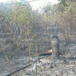 6afc7d82 97c4 4313 99fb 007129cbb938 150x150