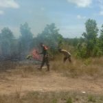 6cb79fe9 F7ec 4bbd B911 21c1d4883cec 150x150