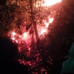 70e47ffe Fcf7 4c8f A1c2 A4f2363cceab 150x150