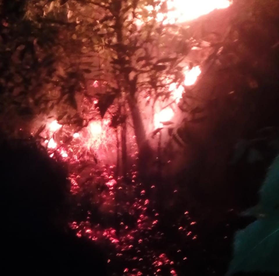 70e47ffe Fcf7 4c8f A1c2 A4f2363cceab