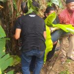 IMG 20210327 WA0022 150x150