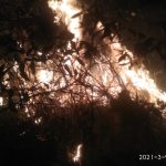 Ac9ef6f2 0f40 4d37 8551 8b0f1d329ea6 150x150