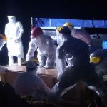 C38a87ed 7ad5 4608 A094 C34999c08d51 150x150