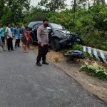 D251c44e 84e0 43e2 A526 F1e8f7da05c6 150x150