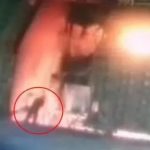 02603d2c 7505 4d9a 996d 3c4eab60ee0d 150x150