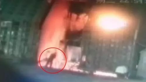 02603d2c 7505 4d9a 996d 3c4eab60ee0d