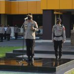 0d916336 9a4f 4913 B621 68c8e5dae6e1 150x150