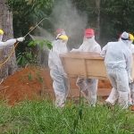 26cce050 E48b 4208 9d50 E5742f6d579c 150x150