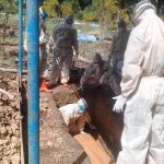 2b071d5b 1a14 4aac 9728 4567871b6722 150x150