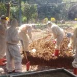 F10aad02 Cab2 4a4e A57b 4a7f9bbcbaaf 150x150