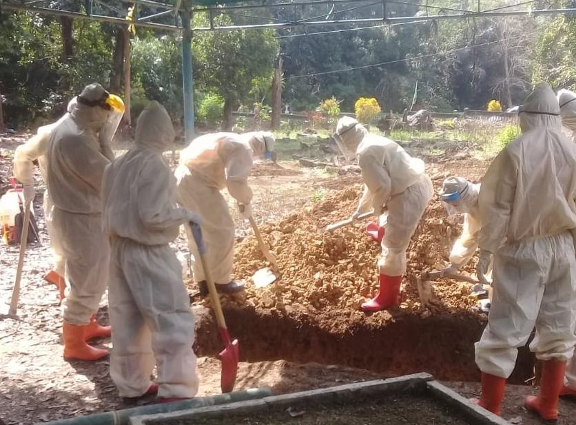 F10aad02 Cab2 4a4e A57b 4a7f9bbcbaaf