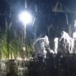 IMG 20210511 WA0004 150x150