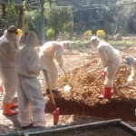 IMG 20210512 WA0046 150x150