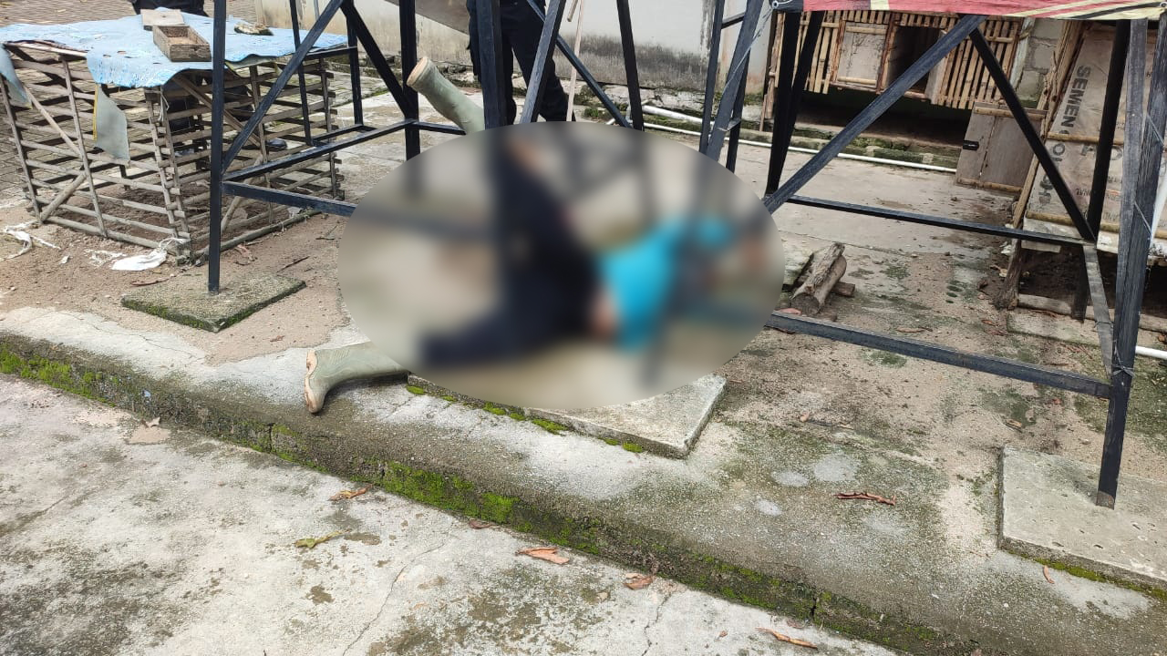 B52fd628 1d43 4e44 B882 508fa7579549