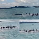 4cfa2235 5876 413a A9d8 5a22d0350454 150x150