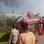 IMG 20210606 WA0004 1 150x150