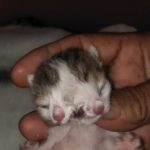 IMG 20210615 WA0039 150x150