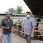 IMG 20210624 WA0023 150x150