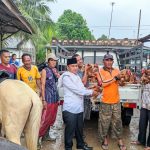 WhatsApp Image 2021 07 12 At 22.05.02 150x150