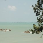 WhatsApp Image 2021 07 31 At 13.19.44 150x150