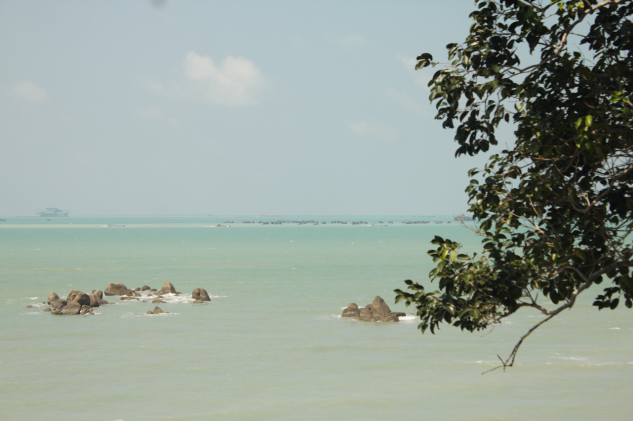 WhatsApp Image 2021 07 31 At 13.19.44