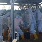 IMG 20210809 WA0026 150x150