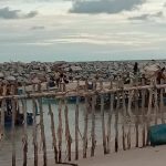 WhatsApp Image 2021 09 14 At 21.55.59 2 150x150