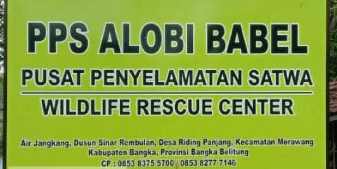 WhatsApp Image 2021 11 03 At 15.02.23