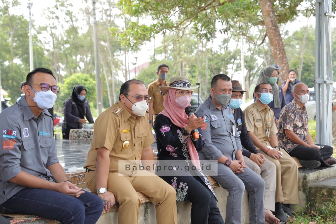 WhatsApp Image 2022 02 22 At 16.09.15