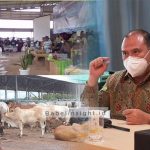 Pertumbuhan KUR masih 37 persen,Gubernur Babel minta ditingkatkan
