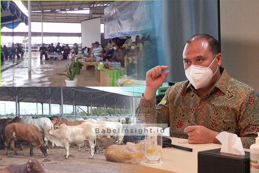 Pertumbuhan KUR masih 37 persen,Gubernur Babel minta ditingkatkan