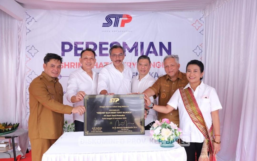 Adanya Shrimp Hatchery Bisa Penuhi Permintaan Pasar Benur Vaname