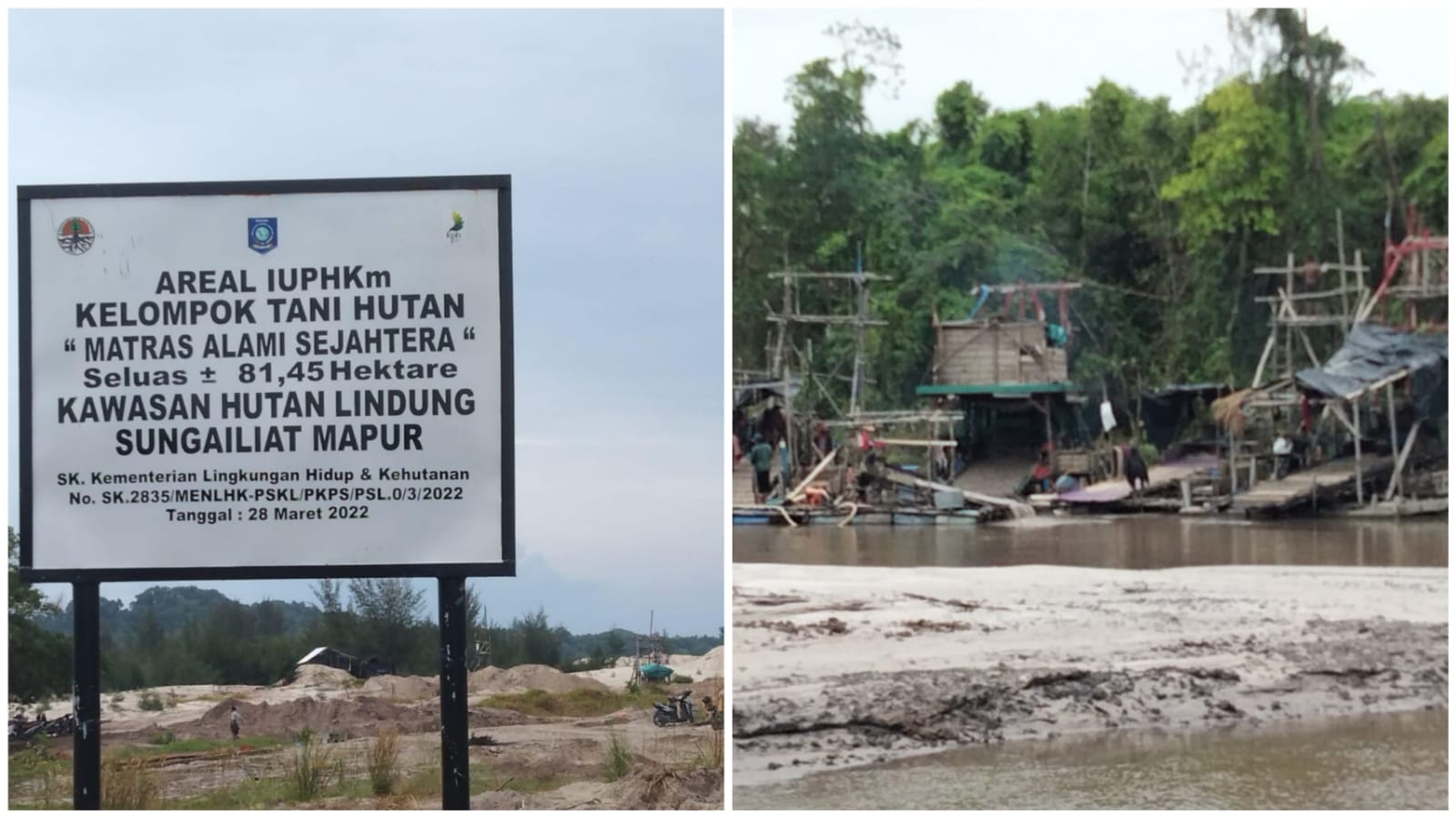 Pemilik Ijin KTH Matras Alami Sejahtera Minta Gakkum DLHK Tindak Tegas TI di Muara Bio Parit 40