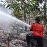 IMG 20230318 WA0141 150x150