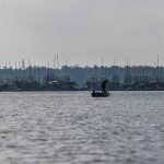 IMG 20230406 WA0318 150x150