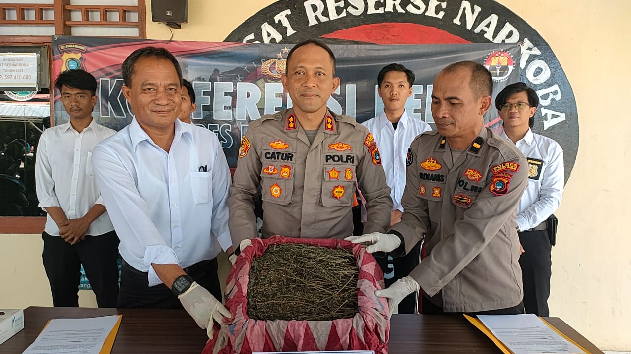 Konferensi Pers Kasus Narkotika, Polres Bangka Barat Sita 2 Kg Ganja Barang Bukti
