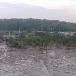 WhatsApp Image 2023 05 29 At 18.33.46 150x150