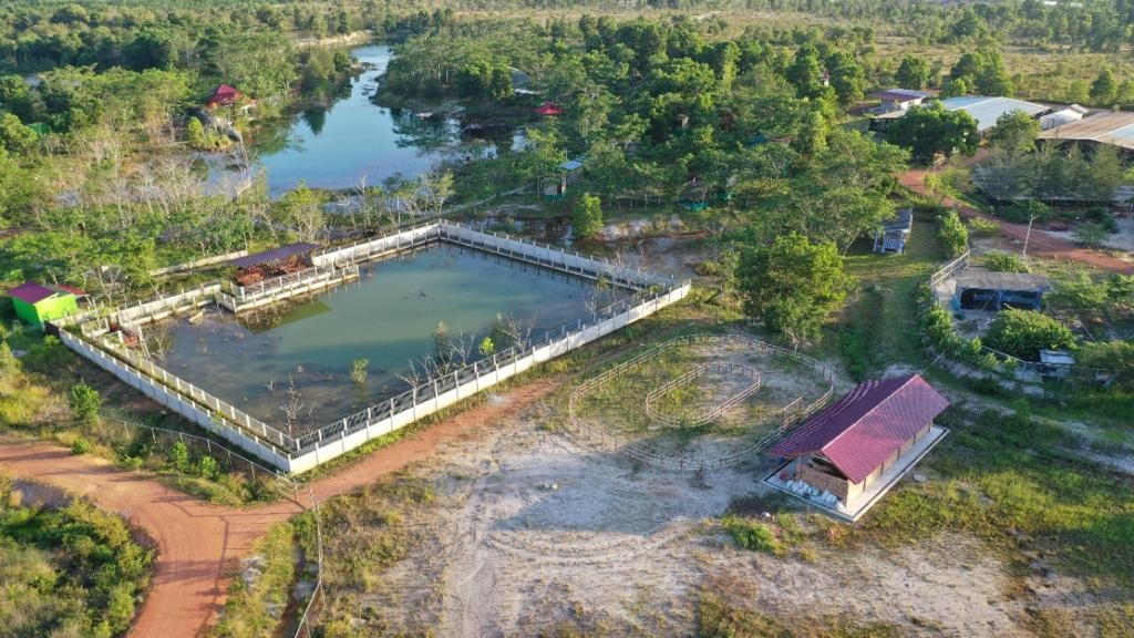 Konsisten Laksanakan Pengelolaan Reklamasi Lingkungan Berkelajutan, PT Timah Tbk Sabet PROPER EMAS 2 Tahun Berturut