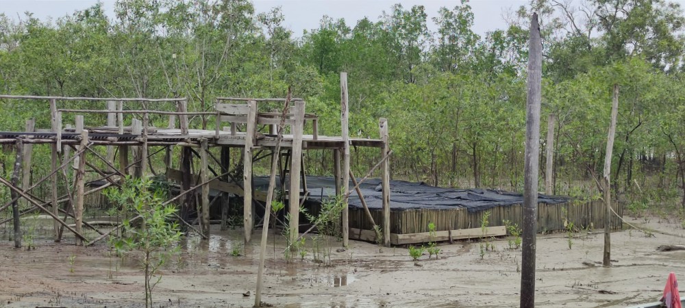 Membina Kelompok Tuah Ketam, PT Timah Tbk Mendorong Kemandirian Ekonomi Nelayan Desa Sawang Laut 