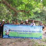 Jelang Idul Adha, PT Timah Tbk Distribusikan Sepuluh Ekor Hewan Kurban ke Masyarakat di Kundur Barat
