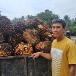 Petani Mapur Minta PT GPL Jaga Komitmen Terima Hasil Tani, Hasil Audiensi