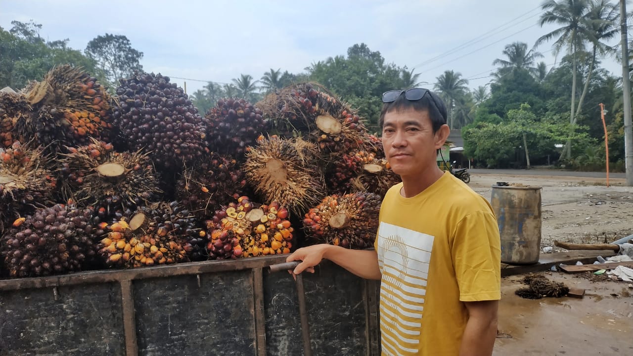 Petani Mapur Minta PT GPL Jaga Komitmen Terima Hasil Tani, Hasil Audiensi