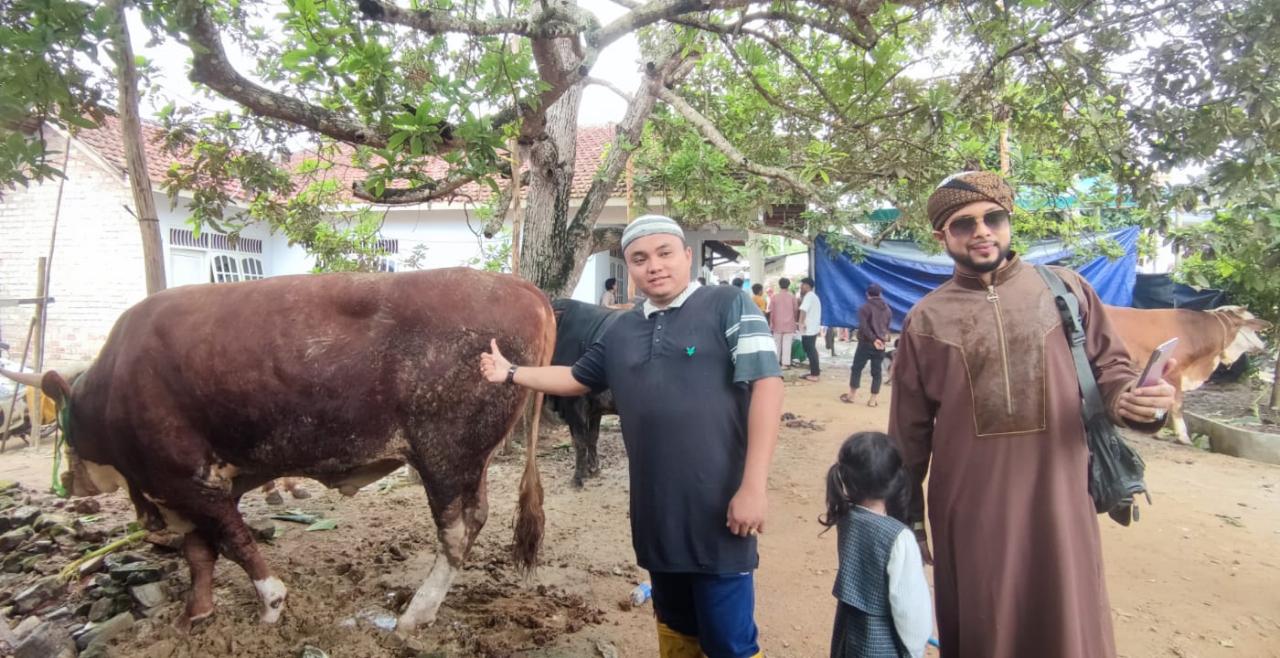 Hari Hadyansyah, Pengusaha Muda Sungailiat Kurban 8 Ekor Sapi Limousin