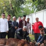 Idul Adha 1444 H, Pemprov Babel Potong 29 Sapi Kurban