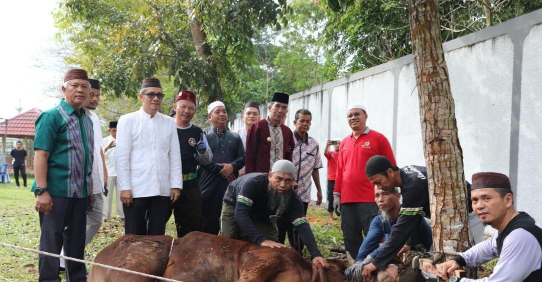 Idul Adha 1444 H, Pemprov Babel Potong 29 Sapi Kurban