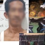 Polsek Simpang Teritip Amankan Pelaku Pencurian Buah Sawit di PT Thep