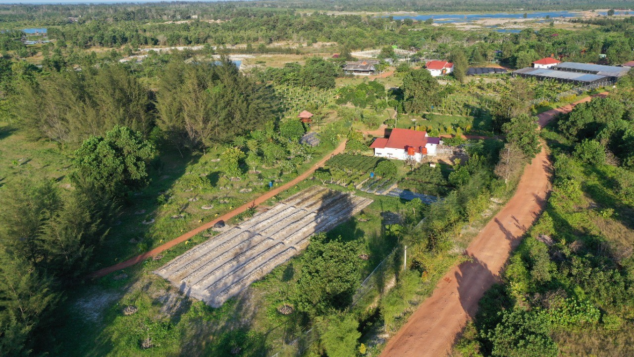 Konsisten Laksanakan Reklamasi, Semester Satu 2023 PT Timah Tbk Reklamasi 203,6 Hektar Lahan Pasca Tambang 
